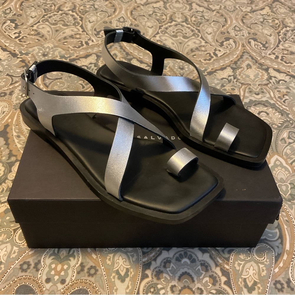Mint Freda Salvador Paxton Silver Calf Sandals Women’s Sz 9